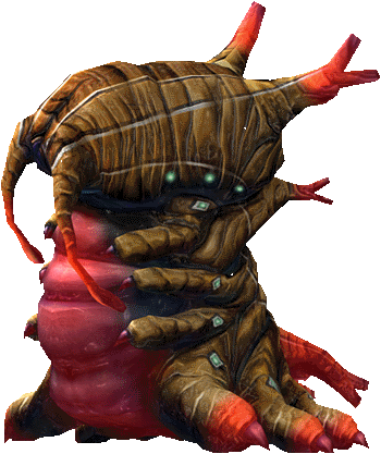 Cloned Meat Clode