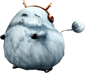 NootyKin