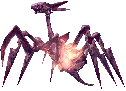 Argol Wasp