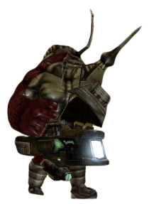 Kukra Patrol