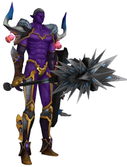 Dark Elf Shield Guard