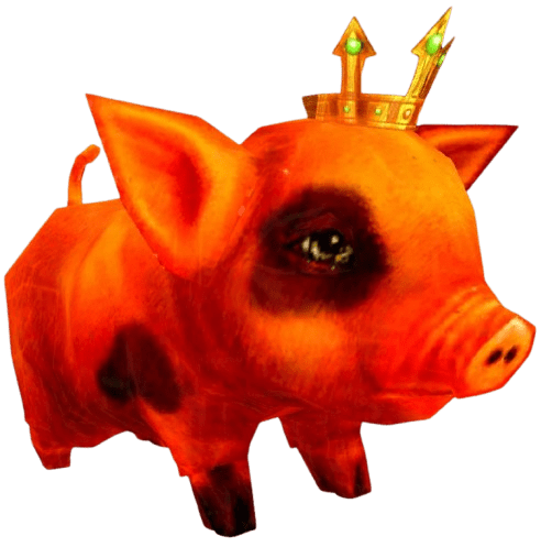 Orange Pig